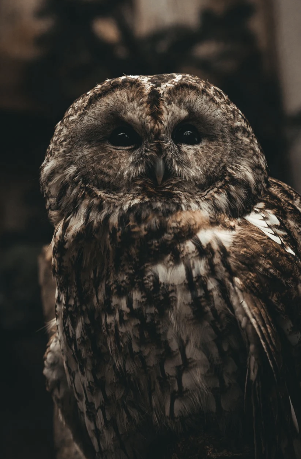 blog_img
