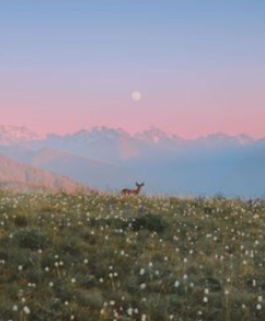 blog_img